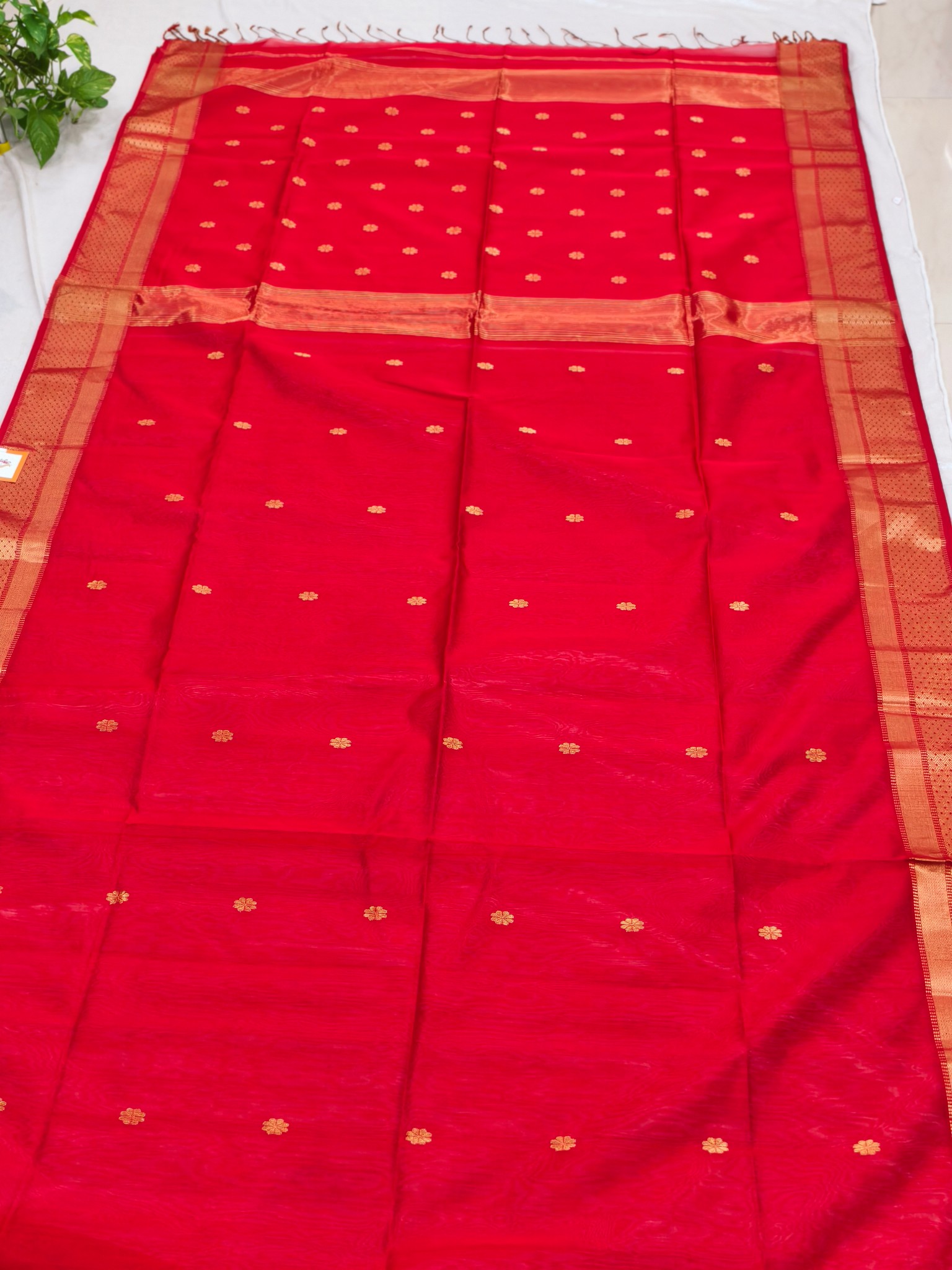 Handloom Maheshwari Saree - Image 5